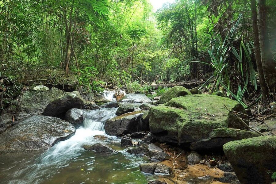 Phuket: Jungle Trekking Experience at Khao Phra Taew - Getting there: round-trip transfers from most major Phuket beaches