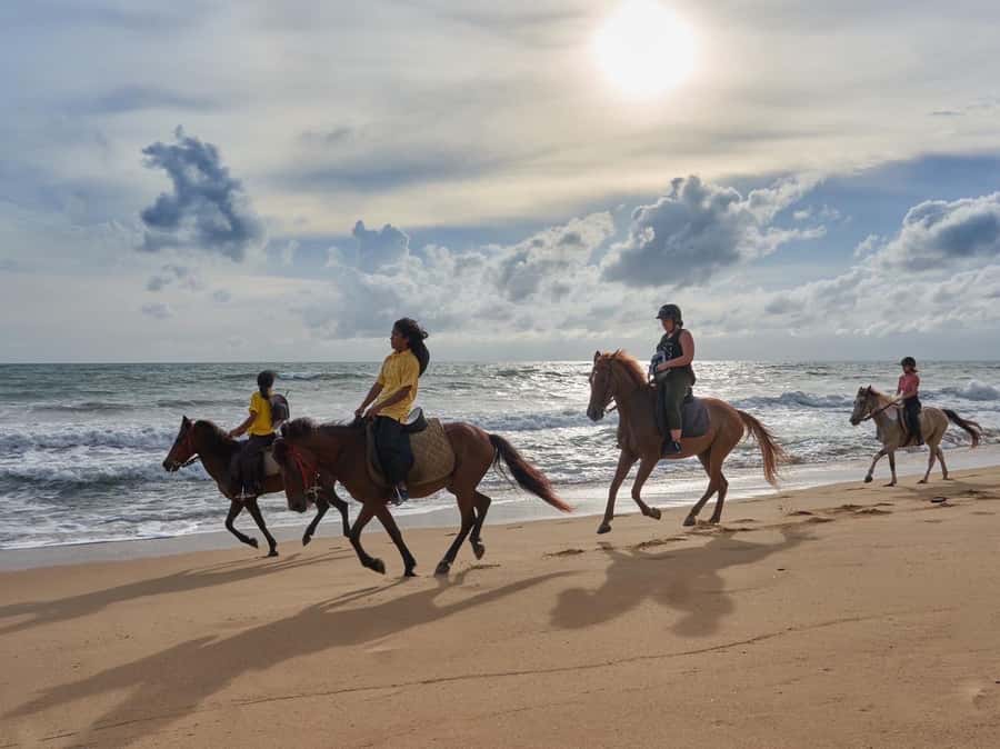 Phuket: Kamala Beach Horse Riding Activity - Why Kamala Beach Horse Riding Feels Special