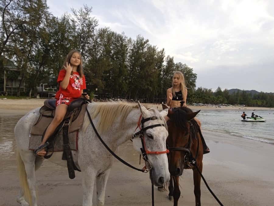 Phuket: Kamala Beach Horse Riding Activity - What Happens Before You Ever Mount Up