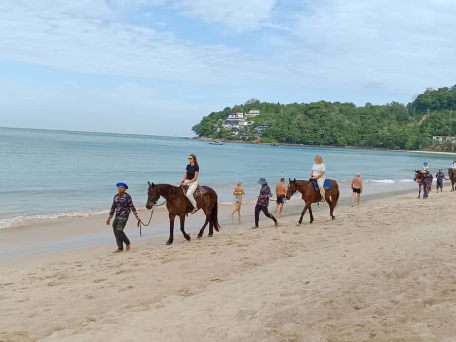 Phuket: Kamala Beach Horse Riding Activity - The 1-Hour Itinerary, Step by Step