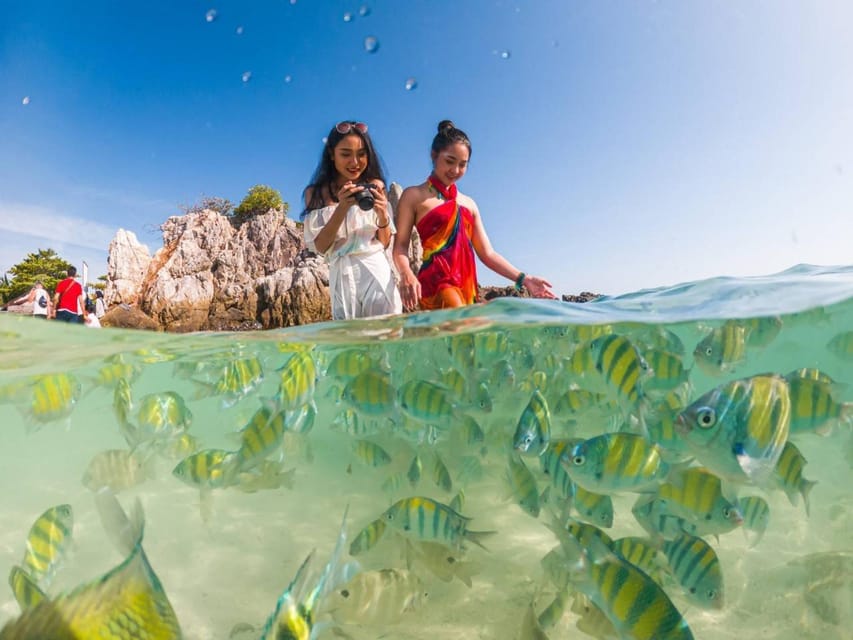 Phuket: Khai Islands Premium Speedboat Half Day Adventure - Price and Value vs. Other Phuket Island Day Options