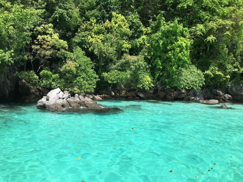 Phuket: KHAI ISLANDS TOUR with LUXURY SPEEDBOAT - Snorkelling reality check: gear helps, but reef conditions can change