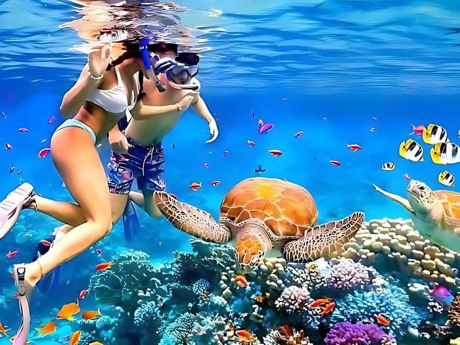Phuket/Khao Lak: Similan Islands by Speedboat - Ba Ngu snorkeling after lunch: what this second stop changes
