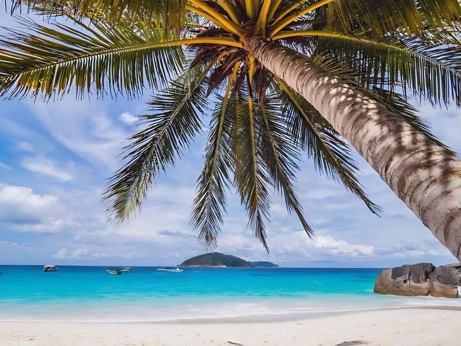 Phuket/Khao Lak: Similan Islands by Speedboat - Snorkeling gear, deposits, and how to pack smarter