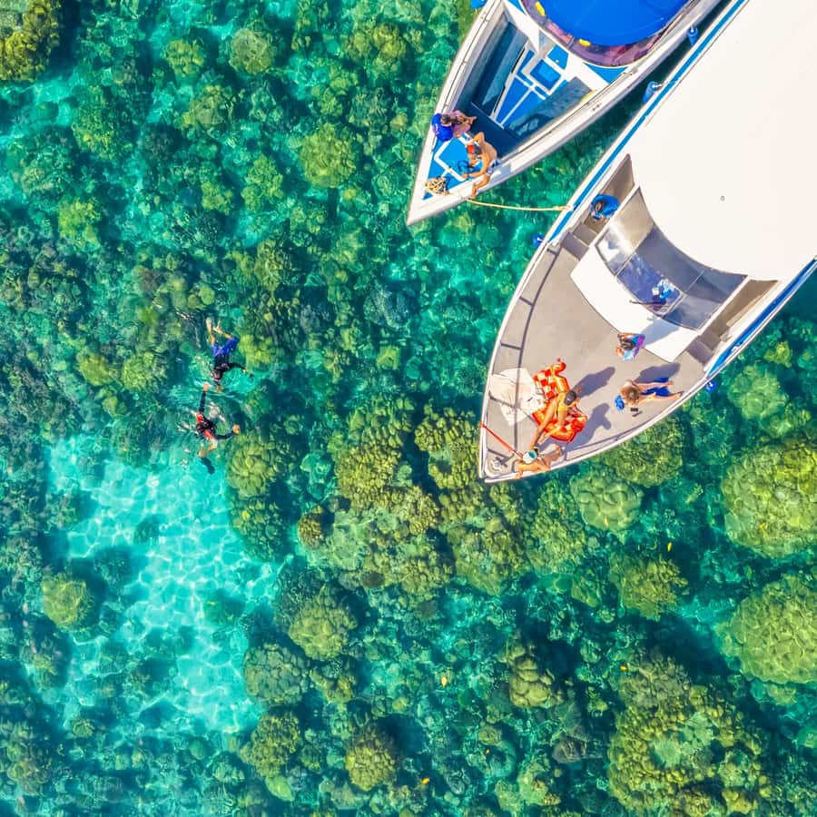 Phuket/Khao Lak: Similan Islands Speedboat Tour with Lunch - Speedboat ride comfort and safety, the part you feel most