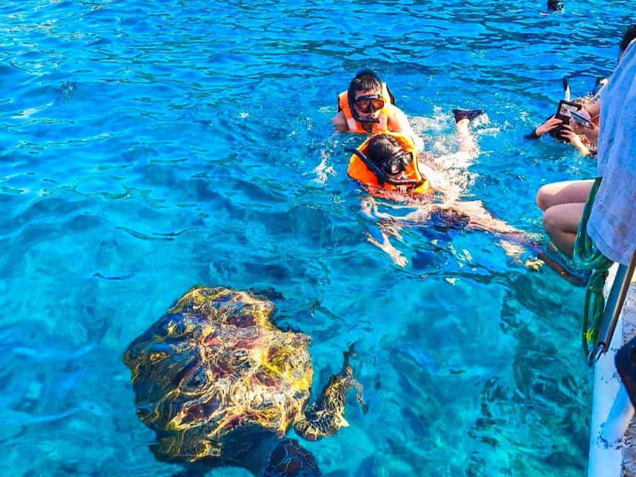 Phuket/Khao Lak: Similan Islands Speedboat Tour with Lunch - Lunch on the beach at Ko Miang, why it’s more than a meal