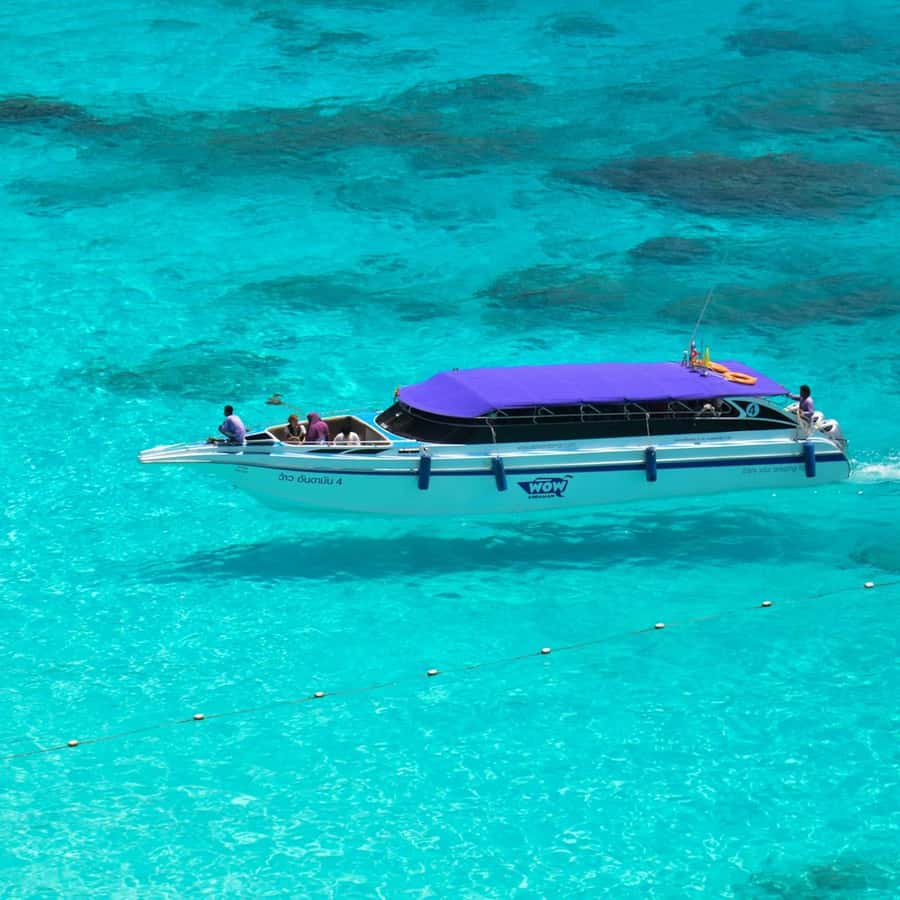 Phuket/Khao Lak: Snorkeling Trip to Phi Phi & Bamboo Islands - Camel Rock and Monkey Beach: classic icons, quick viewing