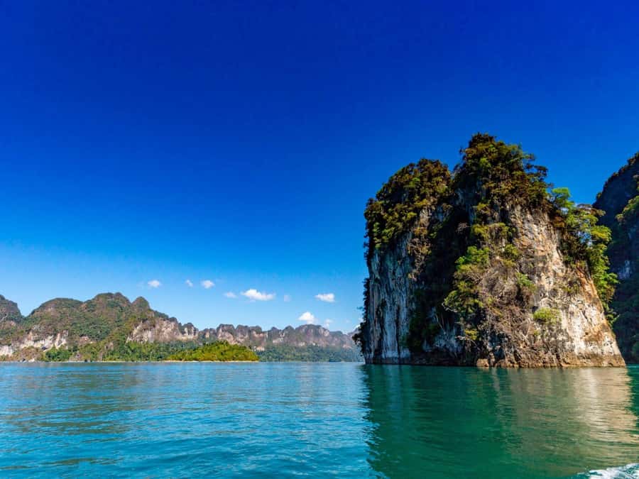 Phuket: Khao Sok 3 Day 2 Night Adventure Escape with 7 Meals - Morning wildlife vibes and Klongsok River bamboo rafting