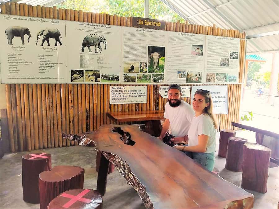 Phuket: Khao Sok Private Elephant Day Care and Bamboo Raft - Khao Sok Viewpoint and Short Nature Stops: Big Views, Minimal Detours