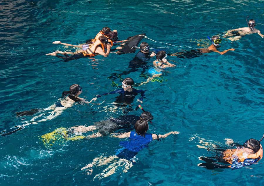 Phuket/Khaolak: Similan Islands Speed Catamaran Premium Trip - Boat comfort, rough water, and seasickness reality