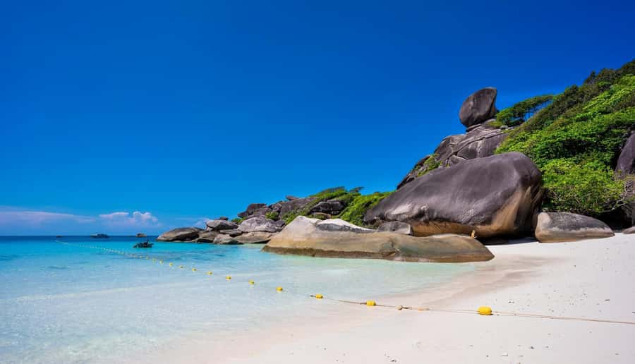 Phuket/Khaolak: Similan Islands Speed Catamaran Premium Trip - National park fee, and the real cost beyond the headline price