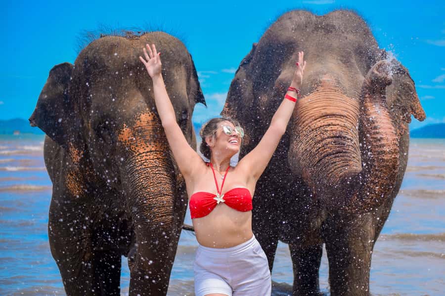 Phuket: Lily Elephant Half day Trip on the Beach with lunch - Key highlights to know before you go