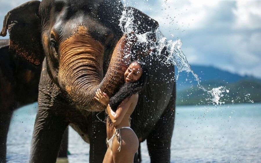 Phuket: Lily Elephant Half day Trip on the Beach with lunch - Thai lunch and downtime: refuel like a local