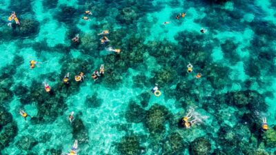 Maya, Phi Phi, and Bamboo Island with Buffet Lunch