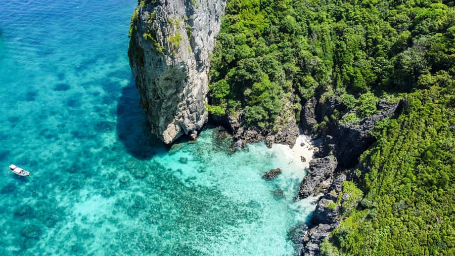 Phuket: Maya, Phi Phi, and Bamboo Island with Buffet Lunch - Monkey Beach: wildlife viewing, but stay on the rules