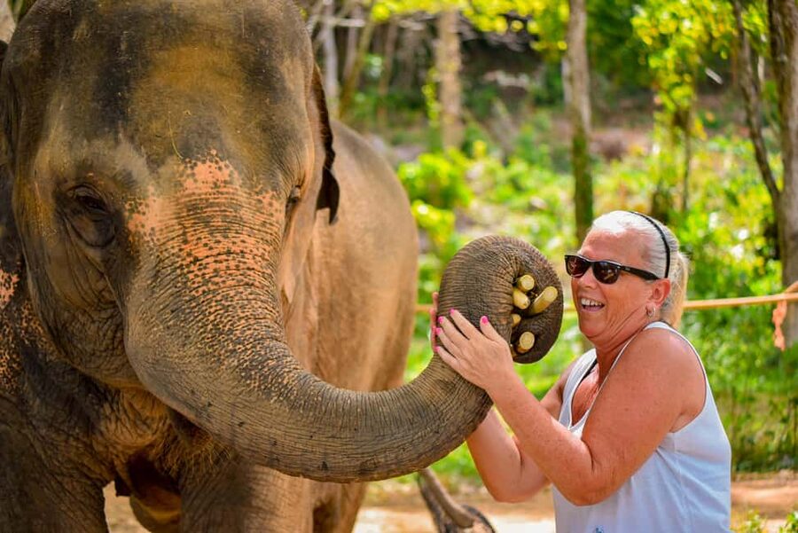 Phuket: Meet Feed & Relax with Elephant - Key things that make this elephant encounter worth your time