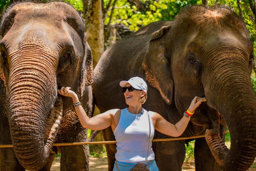 Phuket: Meet Feed & Relax with Elephant - Should you book this Phuket feed and relax elephant encounter?