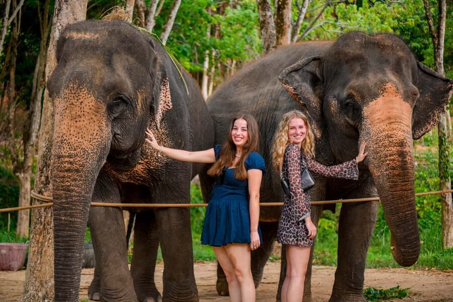 Phuket: Meet Feed & Relax with Elephant - Meet rescued elephants in a calm Phuket setting by Bang Sai Beach