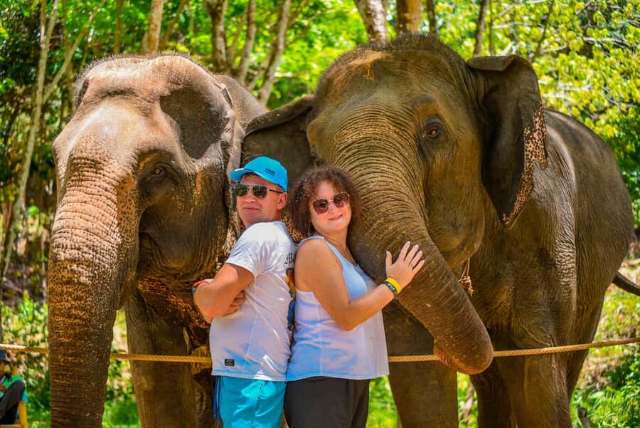 Phuket: Meet Feed & Relax with Elephant - Why the seaview time matters more than it seems