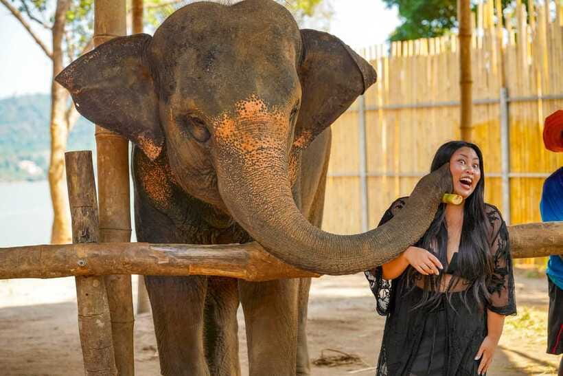 Phuket: Meet Feed & Relax with Elephant - Guides, language, and how to get the most from your visit