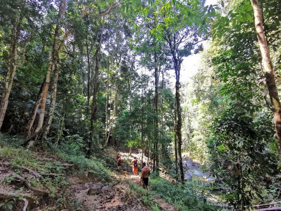 Phuket: Monkey Cave, Water Rafting, Zipline with ATV Option - Who This Tour Fits Best (and Who Might Prefer Something Else)