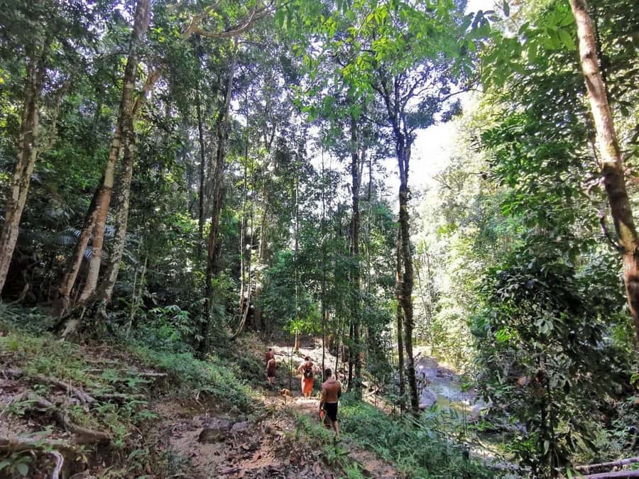 Phuket: Monkey Cave, Water Rafting, Zipline with ATV Option - Lunch at the Camp: A Reset, Not a Destination