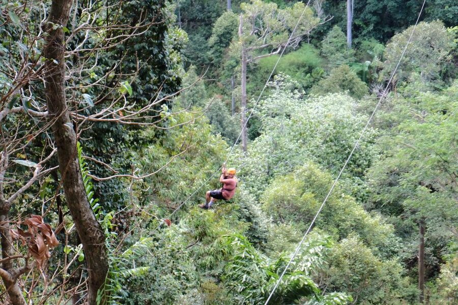 Phuket: Paradise Jungle Zipline Adventure - Timing in Phuket Heat: How to Schedule Around Traffic and Delays