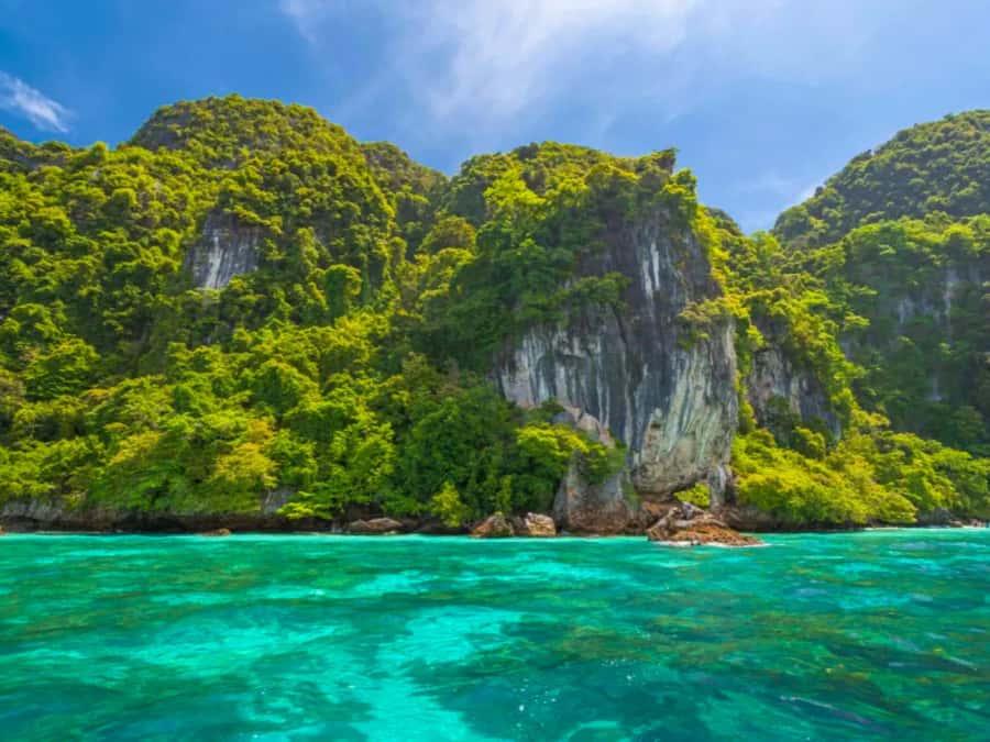 Phuket: Phi Phi & Bamboo Island Day Trip with Buffet Lunch - Viking Cave and the bird’s nest story, told while you cruise