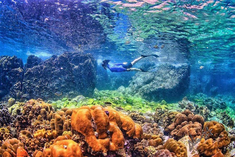 Phuket: Phi Phi & Bamboo Islands Snorkeling by Speedboat - Price and value: what you’re really paying for at $116
