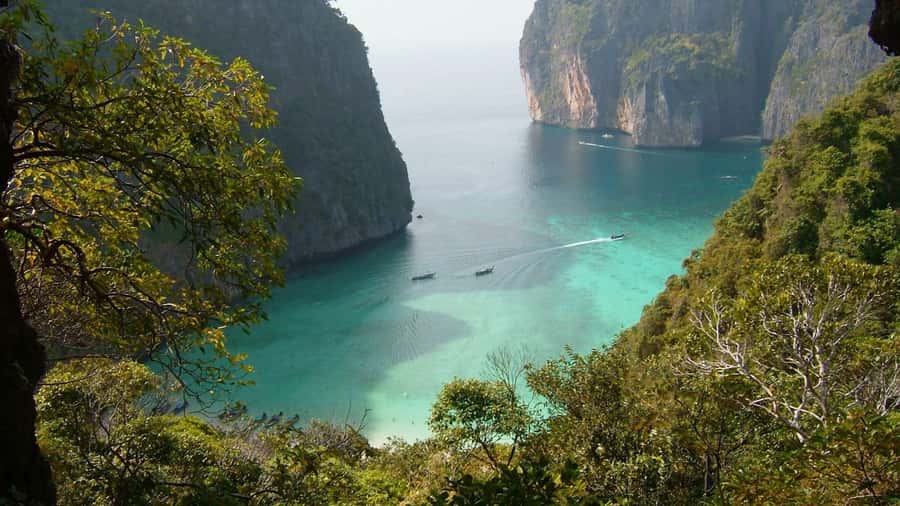Phuket: Phi Phi Island Sunrise Group Speedboat Tour - Phi Phi Islands snorkeling: what you’re actually signing up for