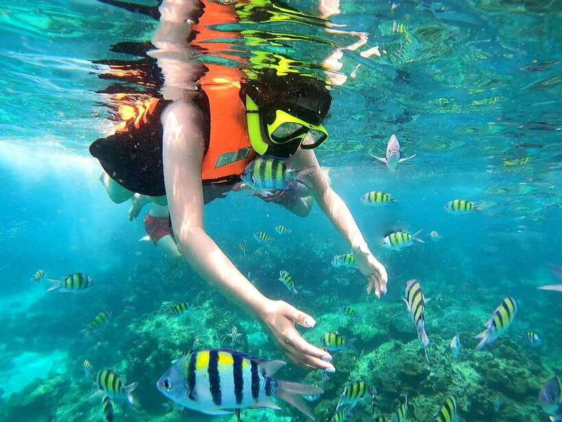 Phuket: Phi Phi Islands and Maya Bay Day Trip with Lunch - Price and value: $50 plus the extras you should budget