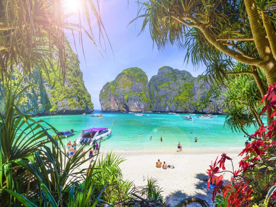 Phuket: Phi Phi Islands, Bamboo Island and Pileh Lagoon Trip - Monkey Beach stop, plus why the Phi Phi Don lunch break matters