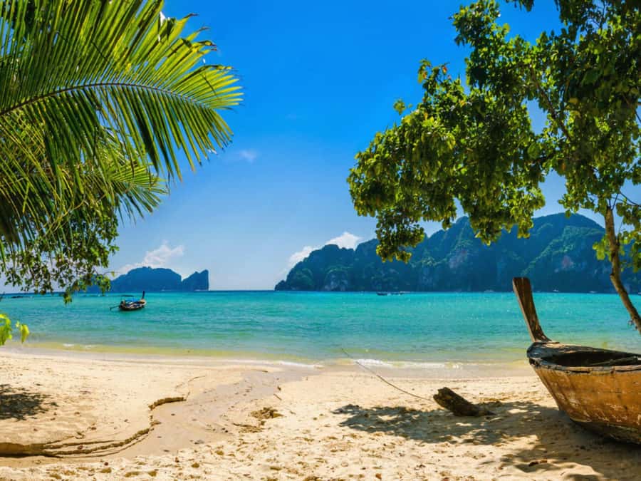 Phuket: Phi Phi Islands, Bamboo Island and Pileh Lagoon Trip - Price and value for an 8-hour Phi Phi Islands day trip
