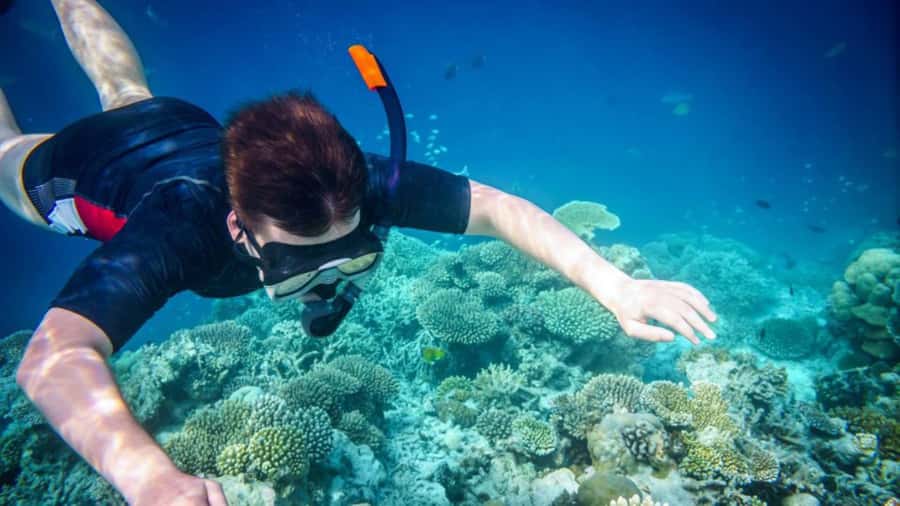 Phuket: Phi Phi Islands, Bamboo Island and Pileh Lagoon Trip - Tips to make the day smoother, what to bring and what to expect