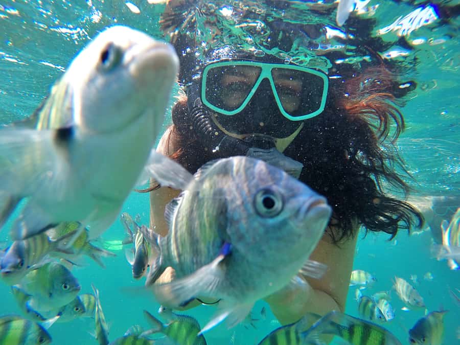 Phuket: Phi Phi & James Bond Island Combo Day Tour w/Lunch - Key things that make this tour worth your time