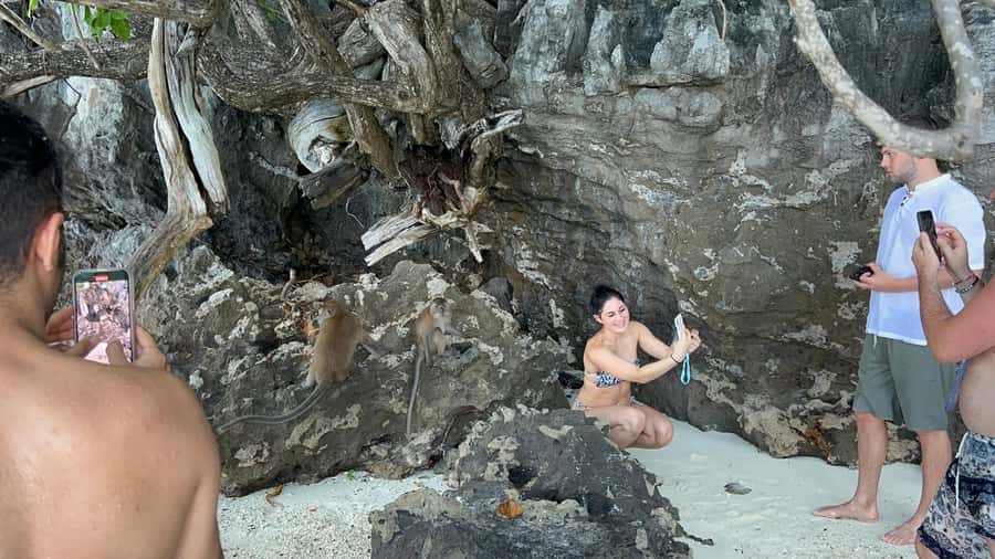 Phuket: Phi Phi Maya Bamboo Island By Speed Catamaran - Price and value for $125, where the cost really goes