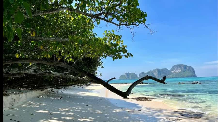 Phuket: Phi Phi, Maya, Khai or Maiton or Bamboo Island Tour - Phi Phi Lagoon and Pileh: emerald water, snorkeling, and the longtail add-on
