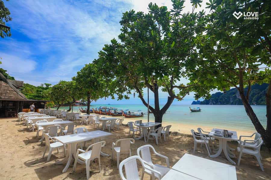 Phuket: Phi Phi Pileh Lagoon Bamboo Island by Speed Boat - Monkey Bay from the boat: quick wildlife spotting