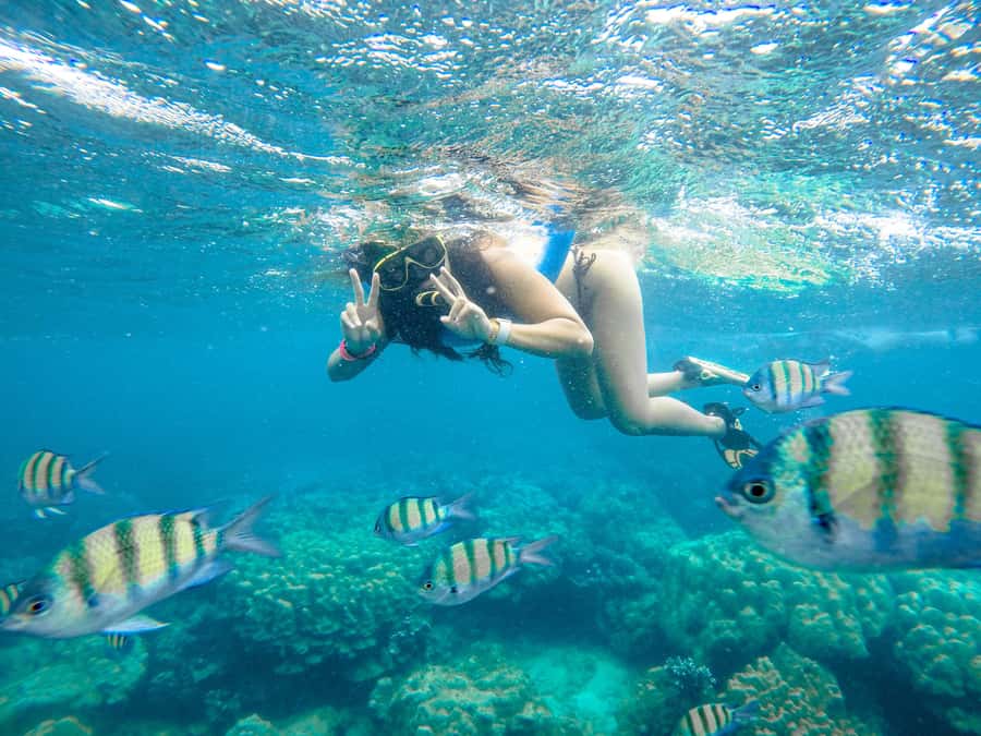 Phuket: Phi Phi Sunrise Boat Tour to Bamboo and Khai Island - Price and value: what $125 buys you on this 9-hour route
