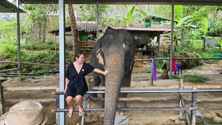 Phuket: Phuket Elephant Care Sanctuary ECO Tour - Key moments you will remember