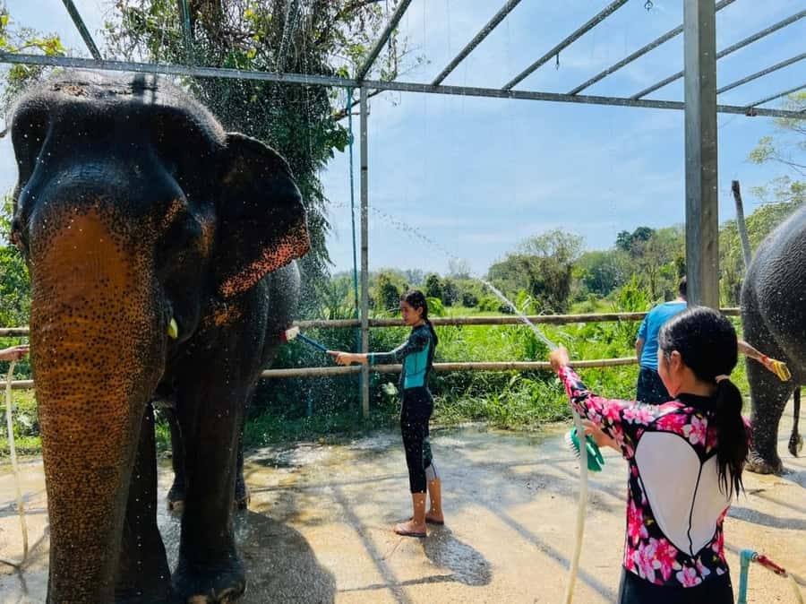 Phuket: Phuket Elephant Care Sanctuary ECO Tour - Mud spa and elephant skin care, the most physical part