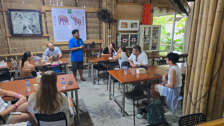 Phuket: Phuket Elephant Care Sanctuary ECO Tour - Price and value: what $70 buys you in Phuket
