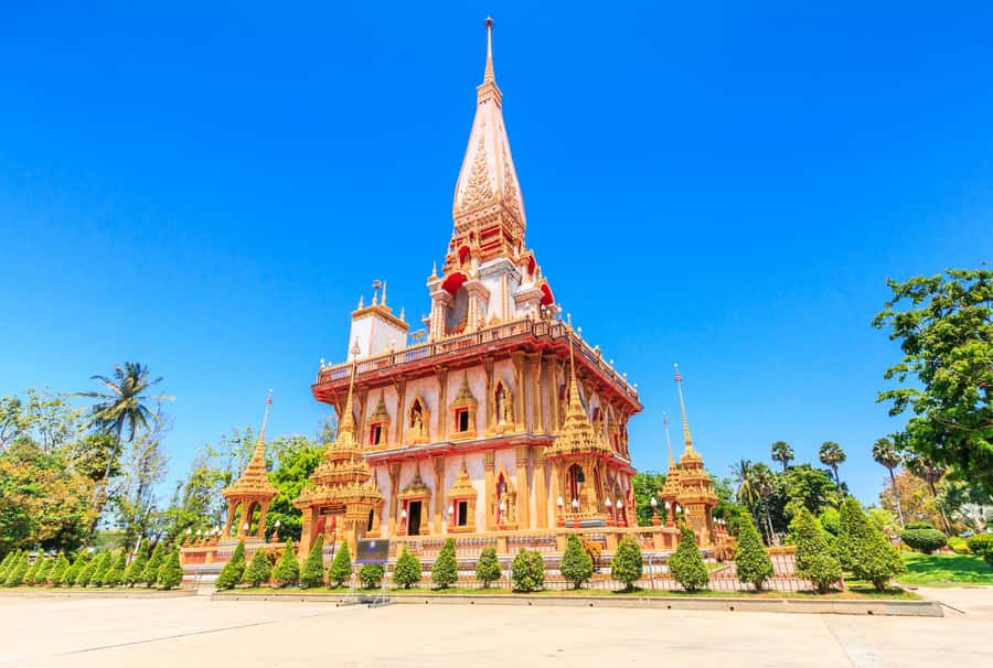 Phuket: Phuket Elephant Sanctuary, Wat Chalong & more - Elephant Jungle Sanctuary: what you do and why it matters