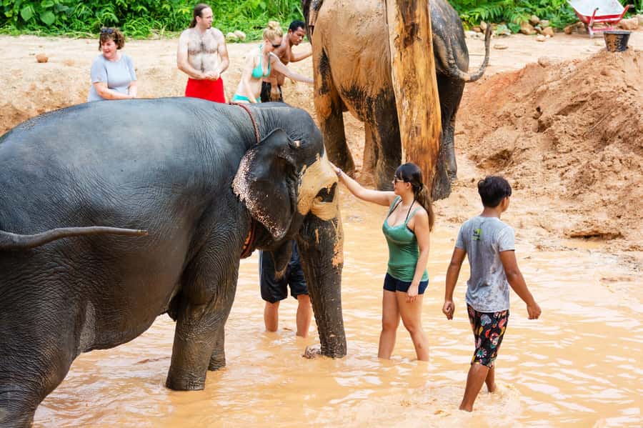 Phuket: Phuket Elephant Sanctuary, Wat Chalong & more - Nai Harn Beach: the one-hour reset you’ll actually use