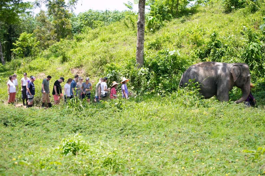 Phuket: Phuket Elephant Sanctuary, Wat Chalong & more - Getting the most from Wat Chalong’s guided 1-hour visit