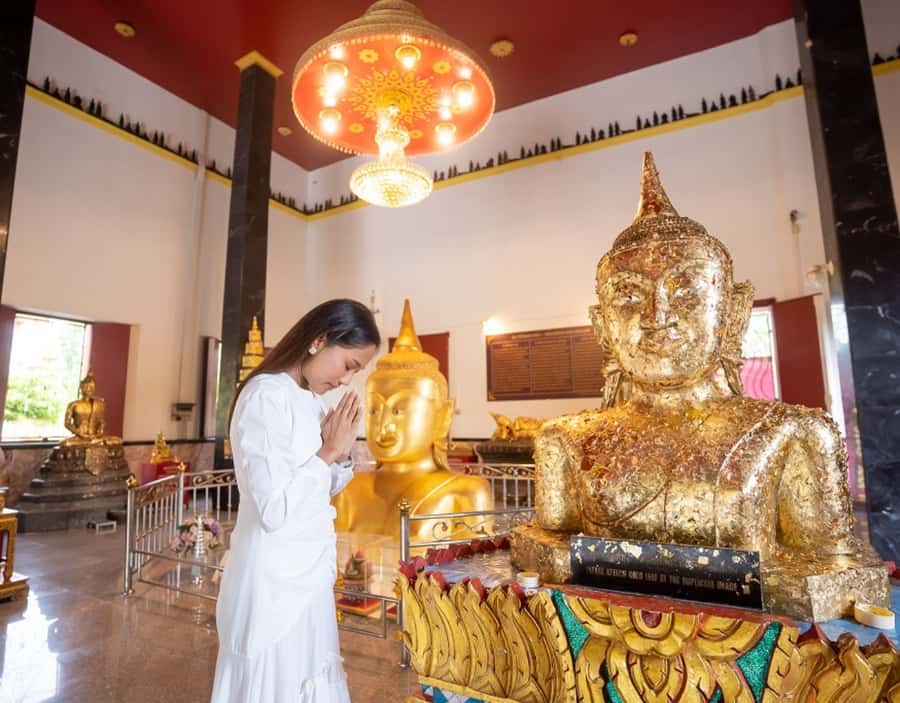 Phuket: Private & All-Inclusive Giant Water Lilies Tour - Key Points To Know Before You Go