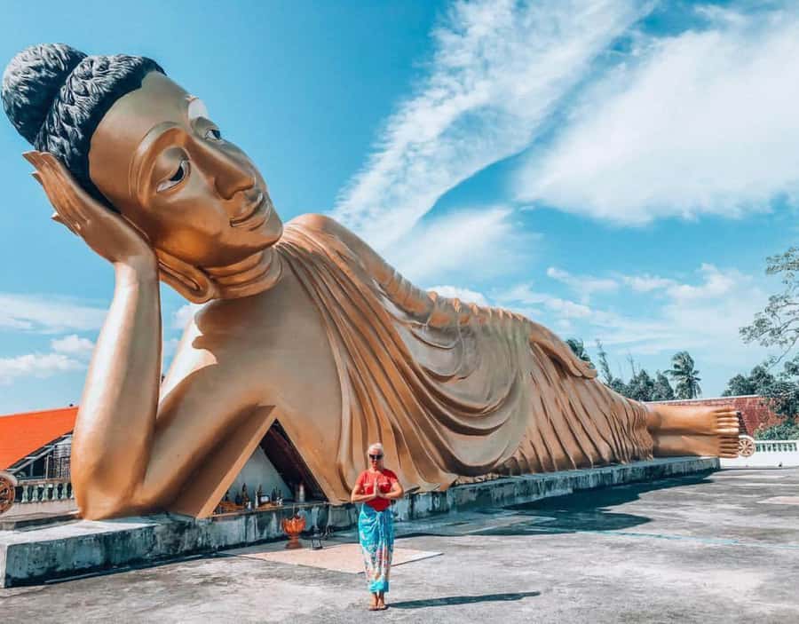 Phuket: Private & All-Inclusive Giant Water Lilies Tour - Price and Who This Tour Fits Best in Phuket