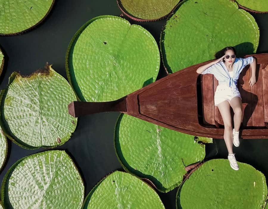 Phuket: Private & All-Inclusive Giant Water Lilies Tour - Wat Phra Thong, the Half-Buried Golden Buddha Moment