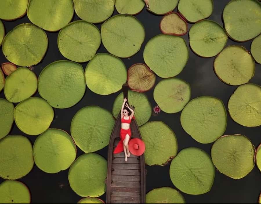 Phuket: Private & All-Inclusive Giant Water Lilies Tour - Drone Shots and Your Guide as a Photographer