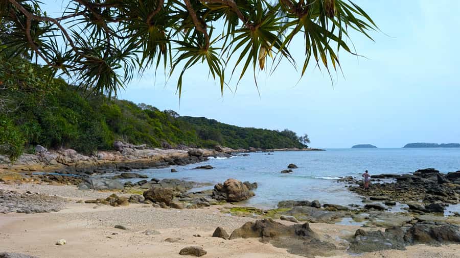 Phuket: Private Longtail Boat to Koh Hey (Coral Island) - Price and Logistics: Is $154 Per Group Good Value?